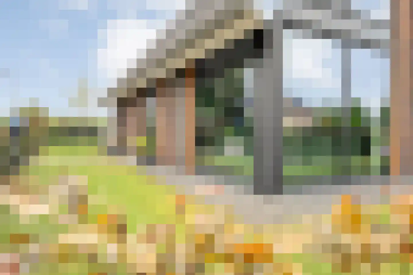 Langshelling 7 Dedemsvaart thumbnail 47