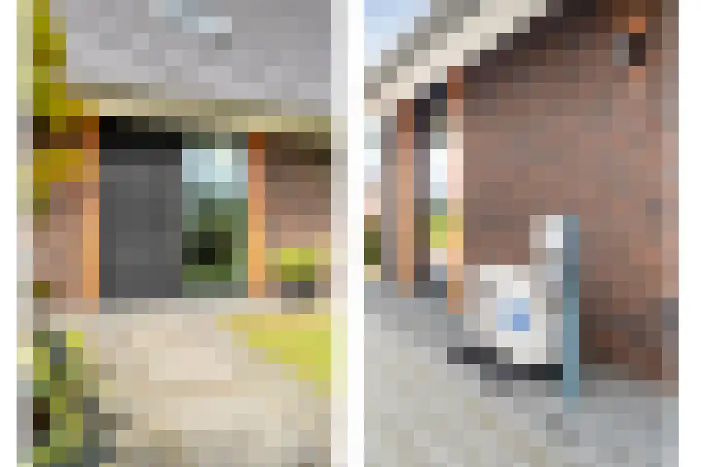 Langshelling 7 Dedemsvaart thumbnail 5