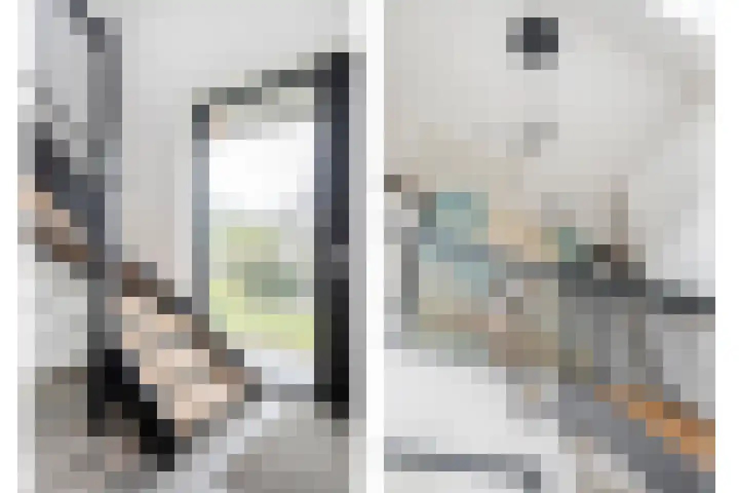 Langshelling 7 Dedemsvaart thumbnail 7