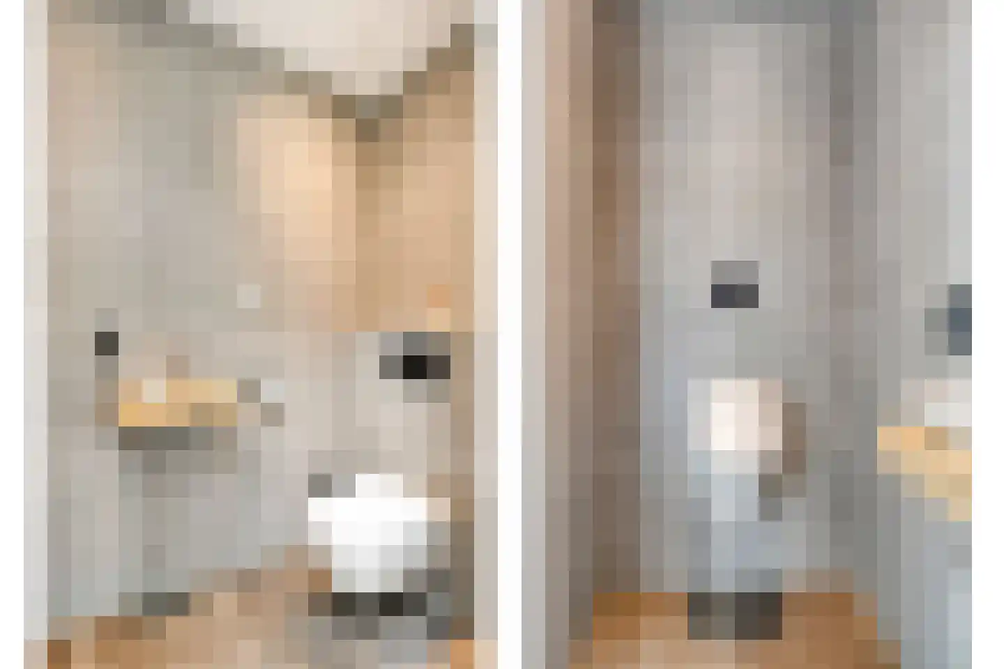 Langshelling 7 Dedemsvaart thumbnail 8