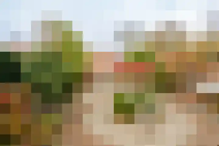 Langshof 140 Almere thumbnail 27