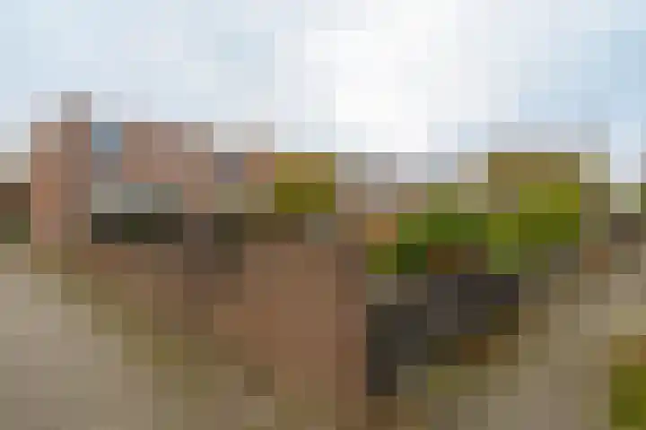Langshof 140 Almere thumbnail 30