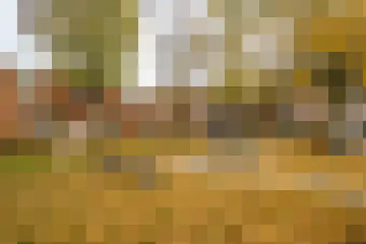 Langshof 140 Almere thumbnail 35