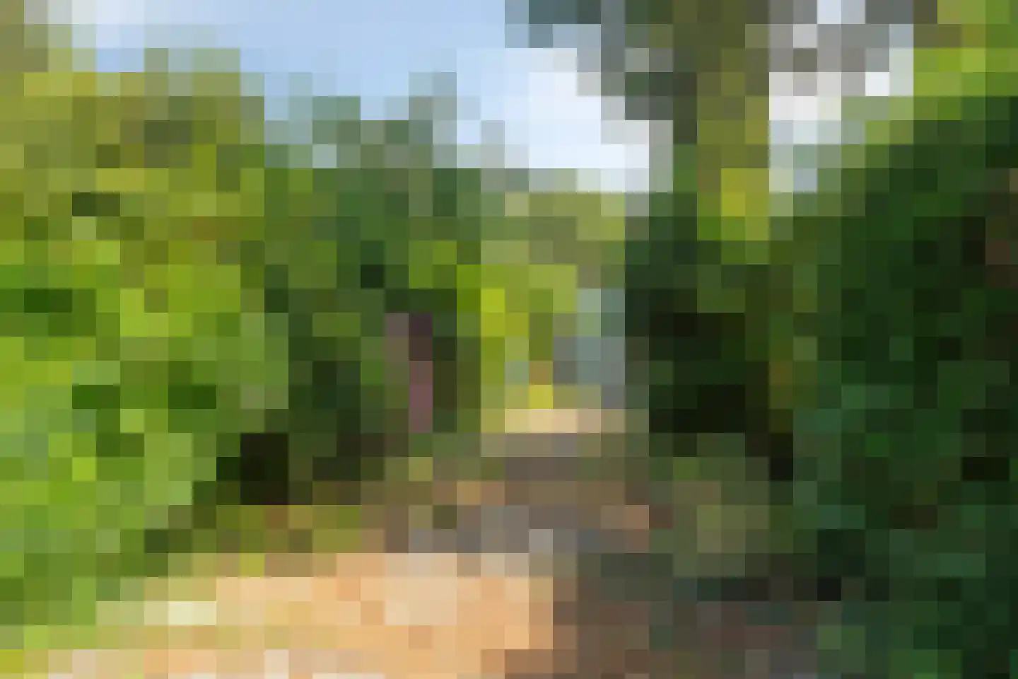 Langshof 4 Almere thumbnail 27
