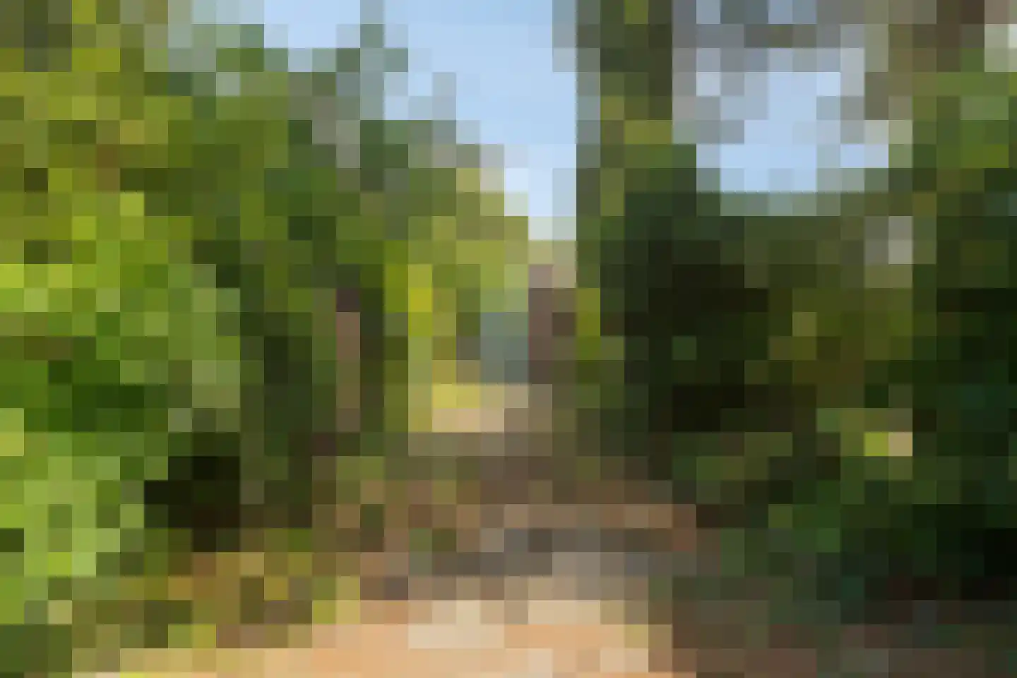 Langshof 4 Almere thumbnail 28