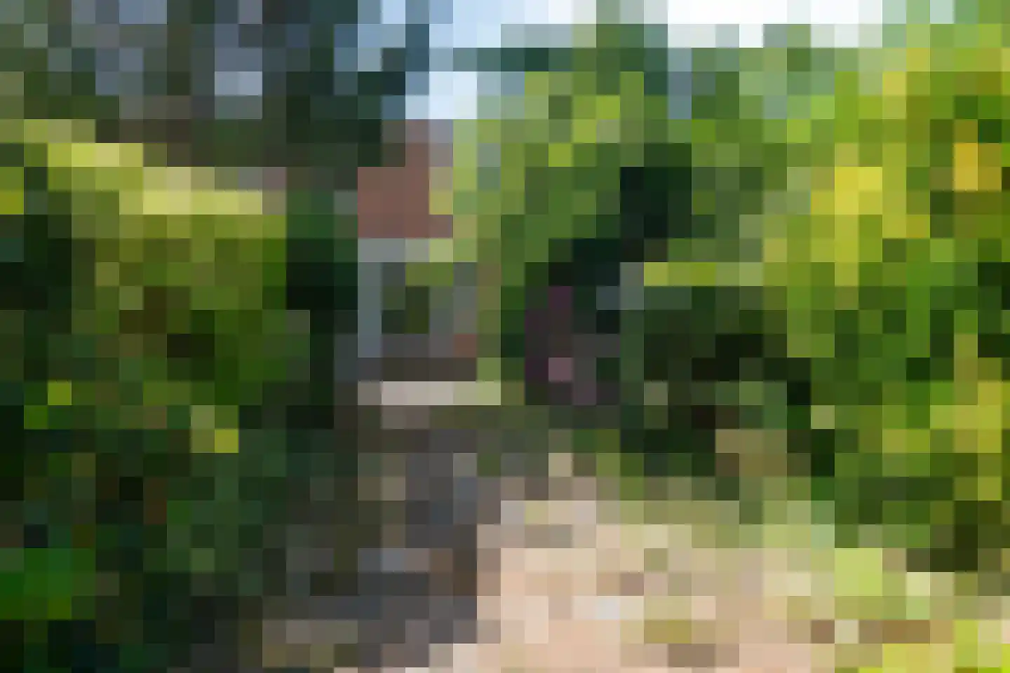 Langshof 4 Almere thumbnail 29