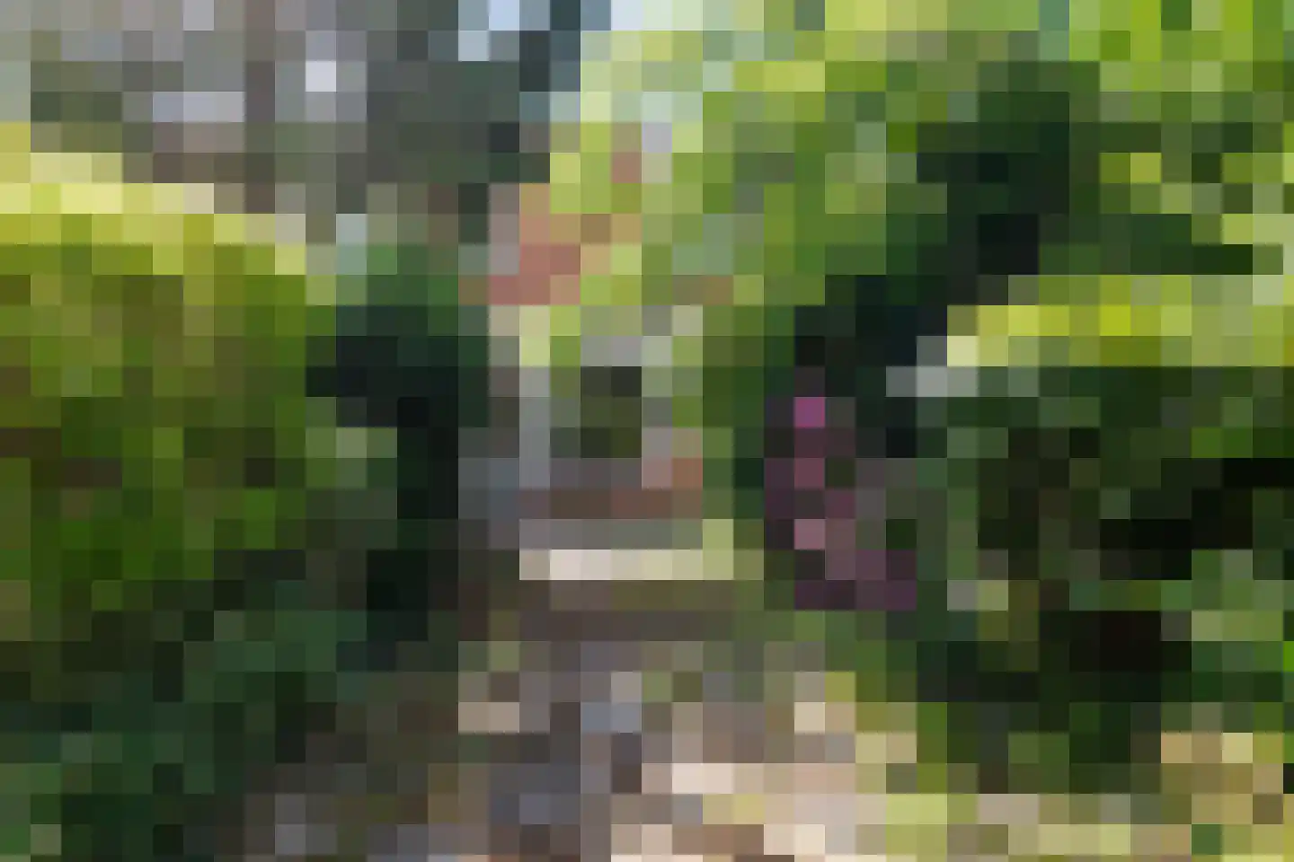Langshof 4 Almere thumbnail 30