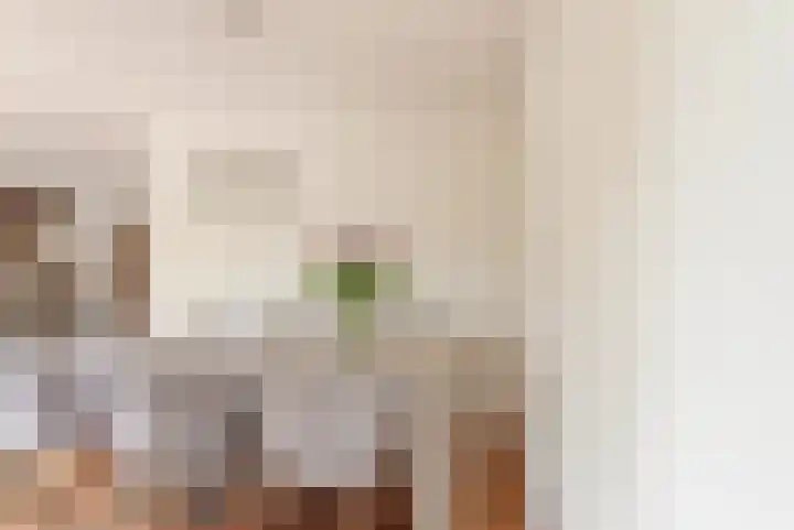 Langshout 29 Houten thumbnail 11