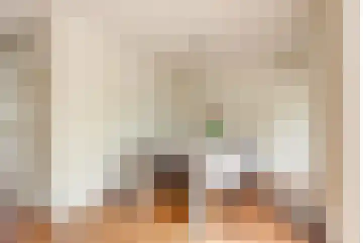 Langshout 29 Houten thumbnail 12