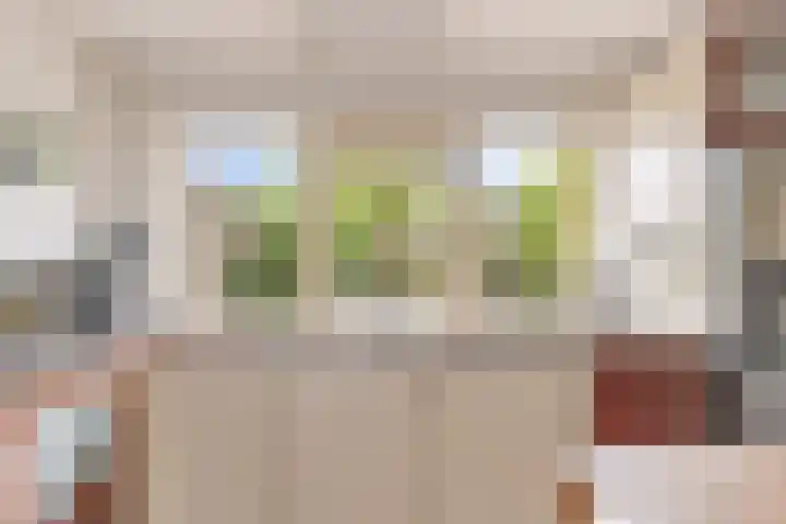 Langshout 29 Houten thumbnail 13