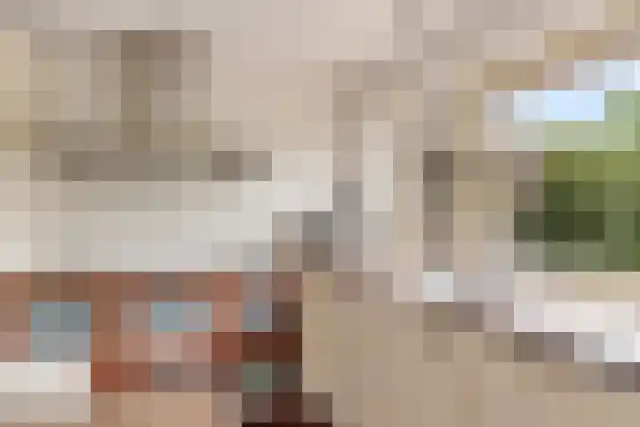 Langshout 29 Houten thumbnail 14