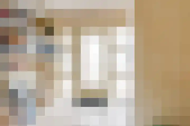 Langshout 29 Houten thumbnail 16