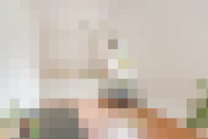 Langshout 29 Houten thumbnail 19