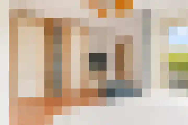 Langshout 29 Houten thumbnail 21