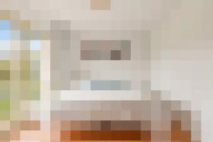 Langshout 29 Houten thumbnail 22