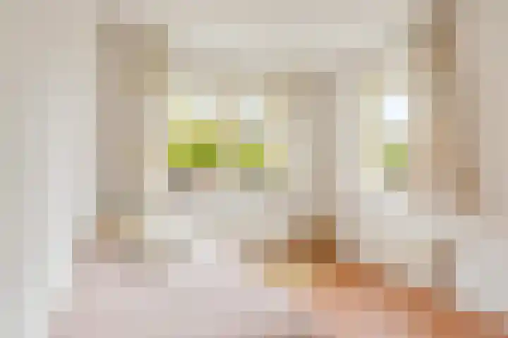 Langshout 29 Houten thumbnail 23