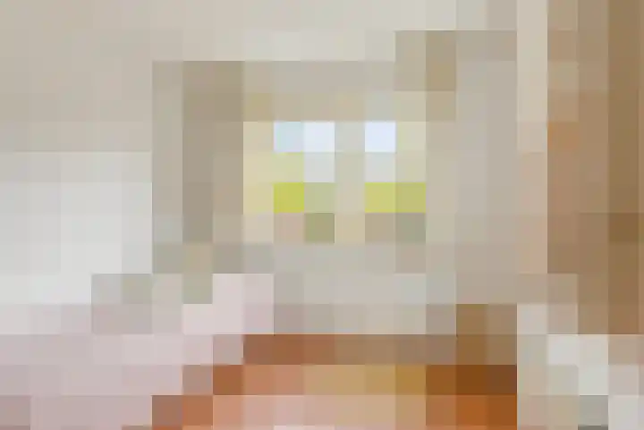 Langshout 29 Houten thumbnail 24