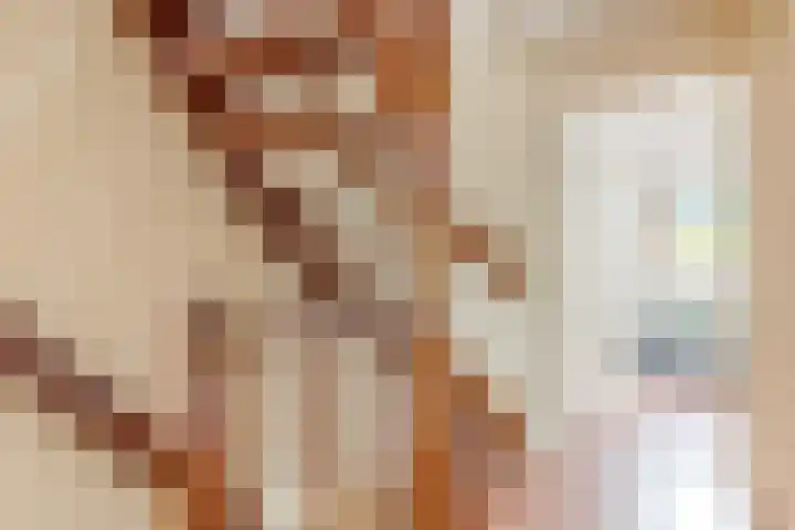 Langshout 29 Houten thumbnail 29