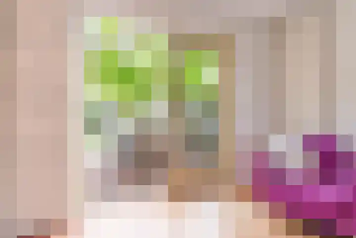 Langshout 29 Houten thumbnail 35