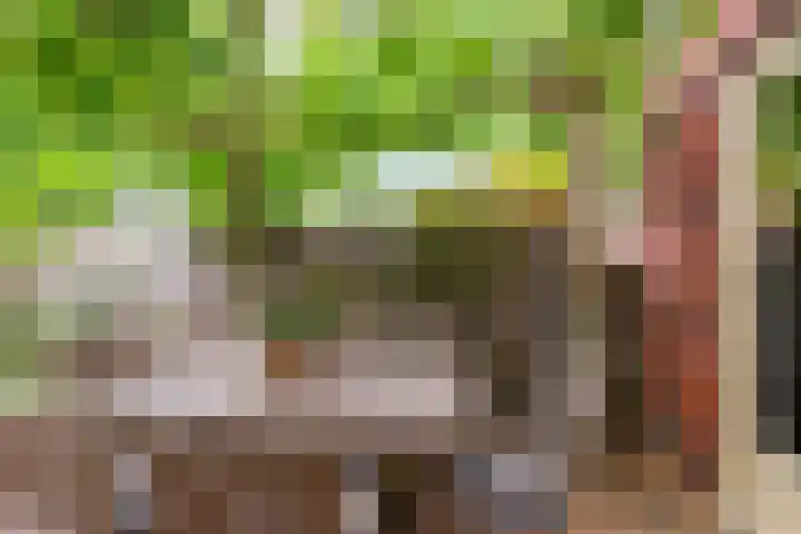 Langshout 29 Houten thumbnail 36