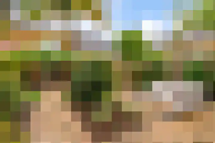 Langshout 29 Houten thumbnail 37