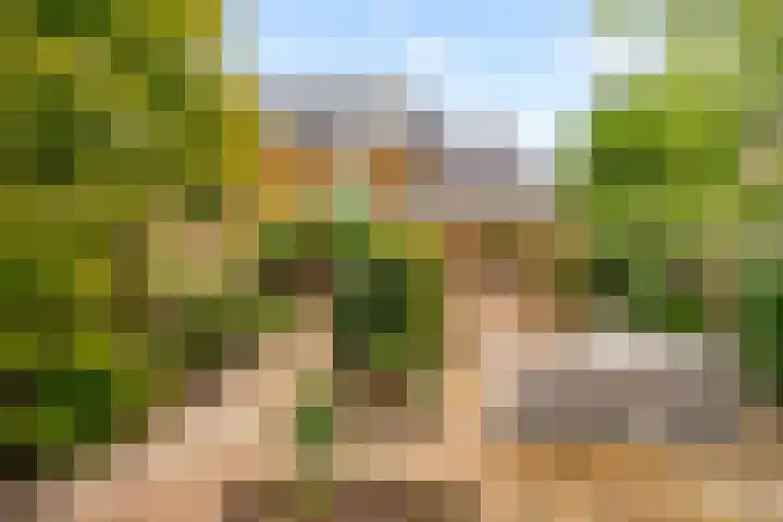 Langshout 29 Houten thumbnail 38