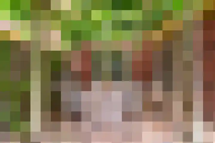 Langshout 29 Houten thumbnail 39