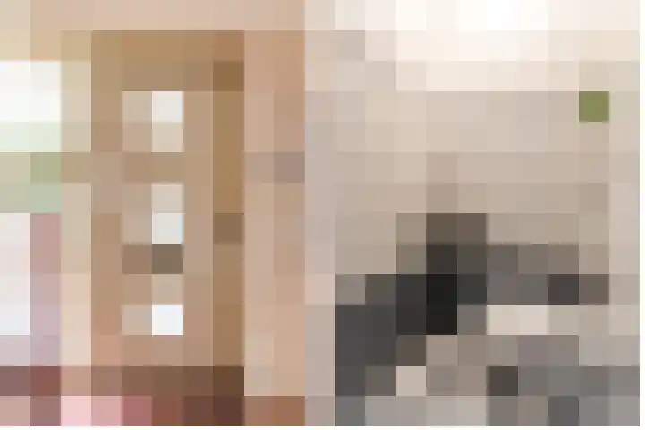 Langshout 29 Houten thumbnail 4