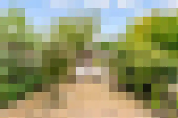 Langshout 29 Houten thumbnail 40