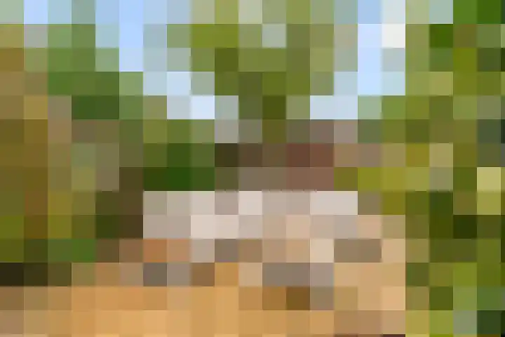 Langshout 29 Houten thumbnail 41