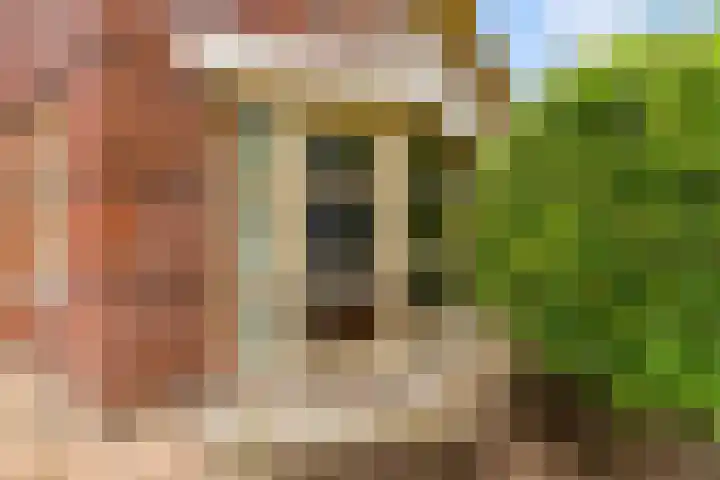 Langshout 29 Houten thumbnail 43