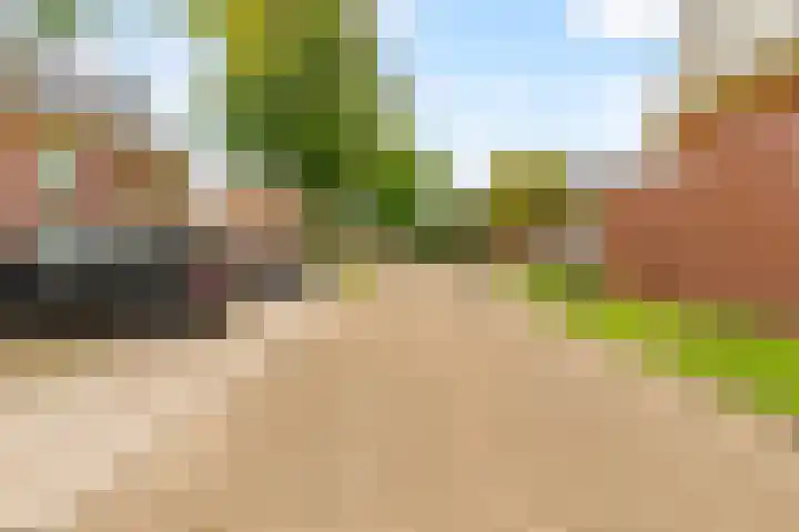 Langshout 29 Houten thumbnail 44