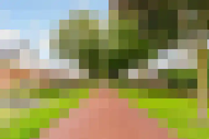 Langshout 29 Houten thumbnail 45