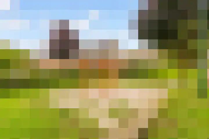 Langshout 29 Houten thumbnail 46