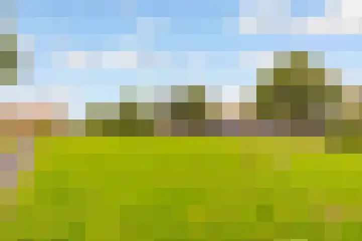 Langshout 29 Houten thumbnail 47