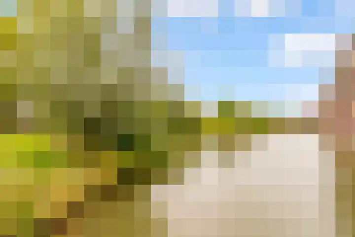 Langshout 29 Houten thumbnail 48