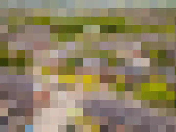 Langshout 29 Houten thumbnail 49