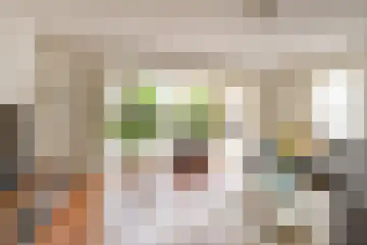 Langshout 29 Houten thumbnail 5