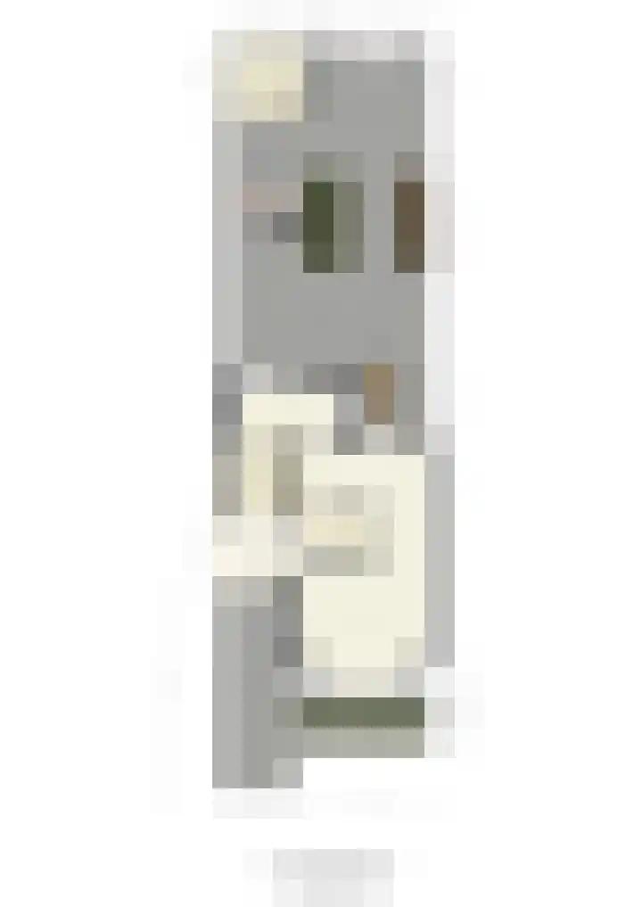 Langshout 29 Houten thumbnail 52