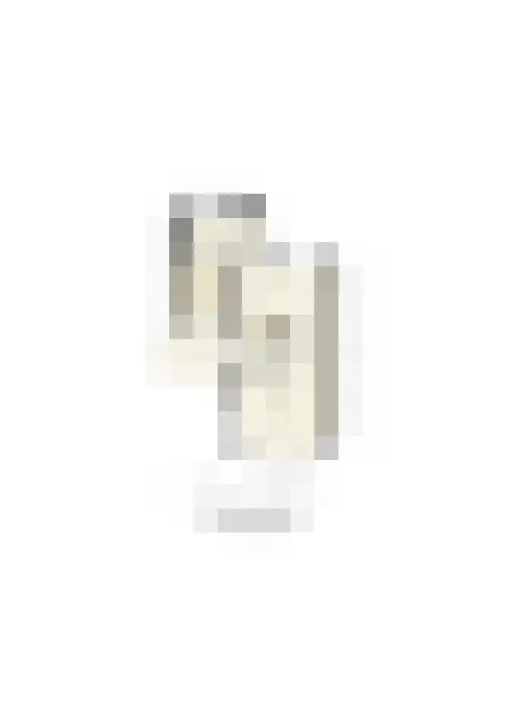 Langshout 29 Houten thumbnail 53