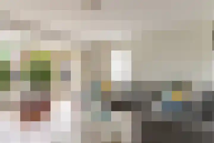 Langshout 29 Houten thumbnail 6