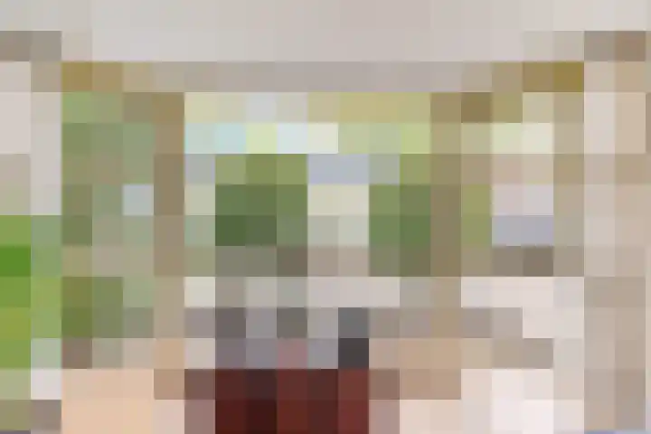 Langshout 29 Houten thumbnail 7