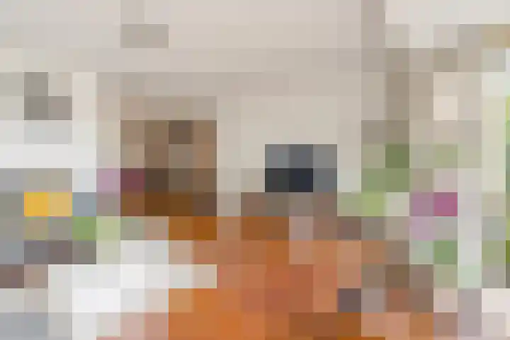 Langshout 29 Houten thumbnail 8