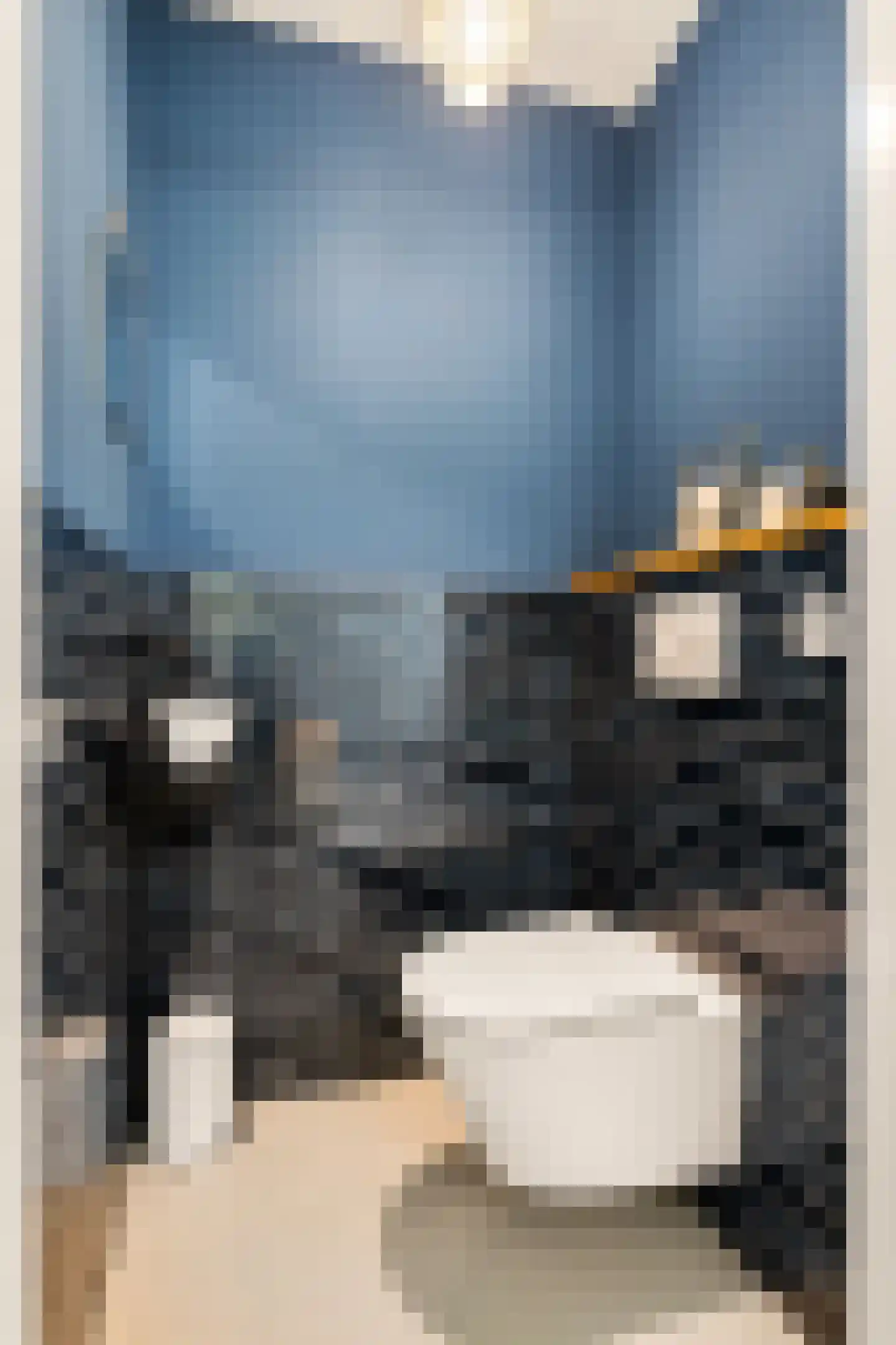 Langshout 45 Houten thumbnail 14