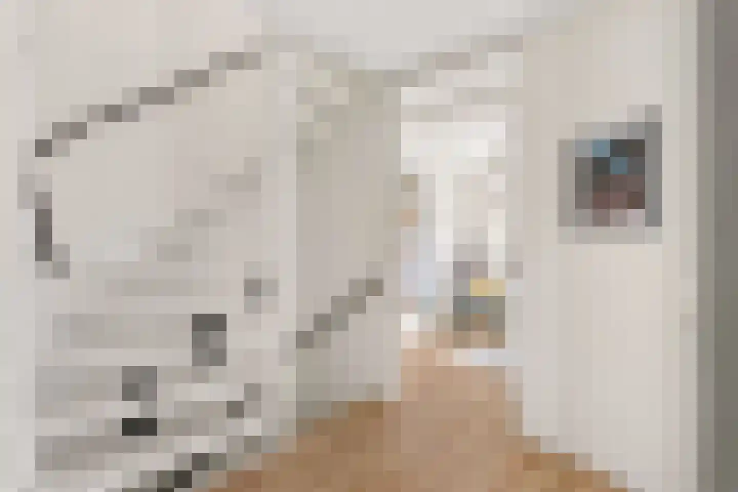 Langshout 45 Houten thumbnail 15
