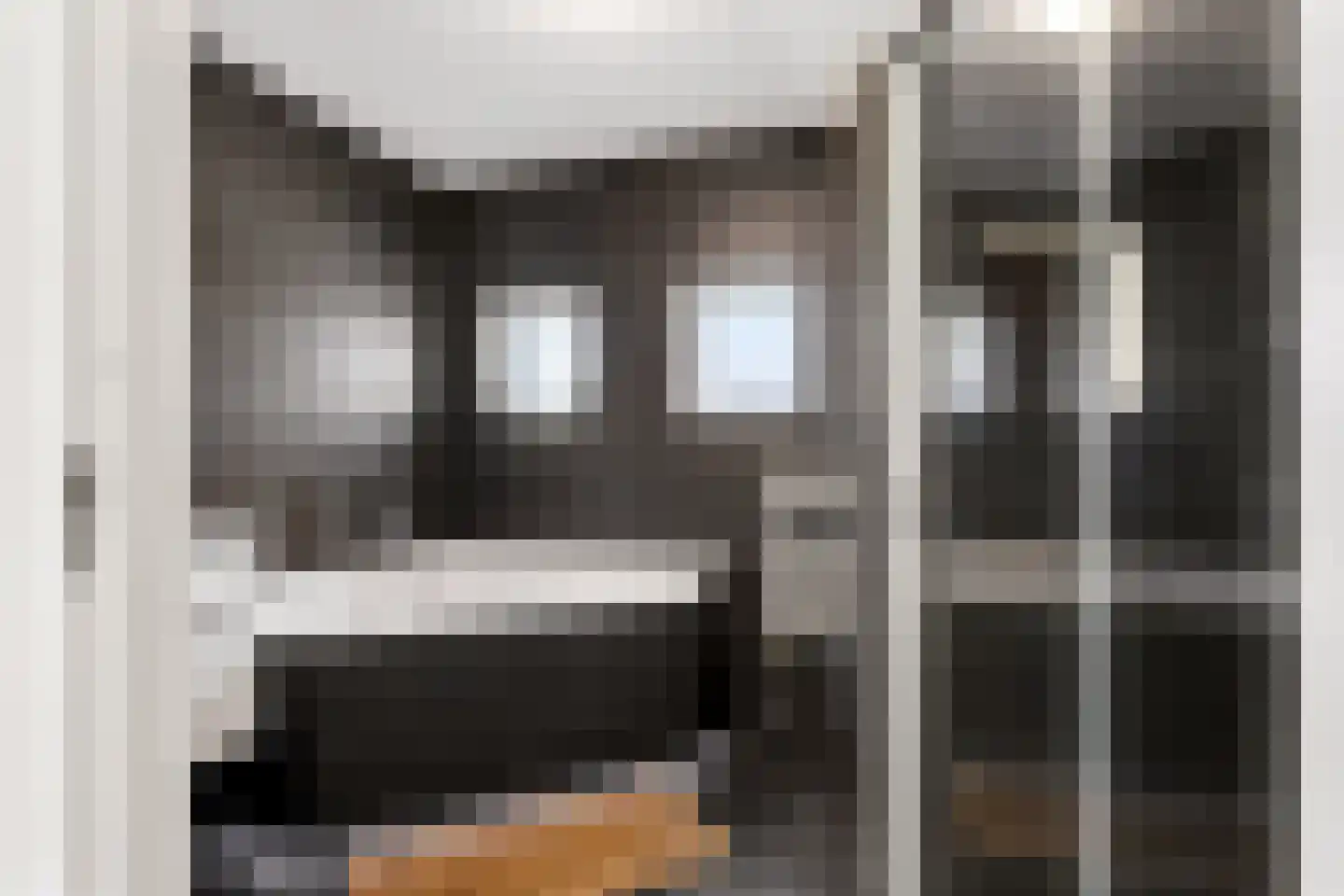 Langshout 45 Houten thumbnail 22