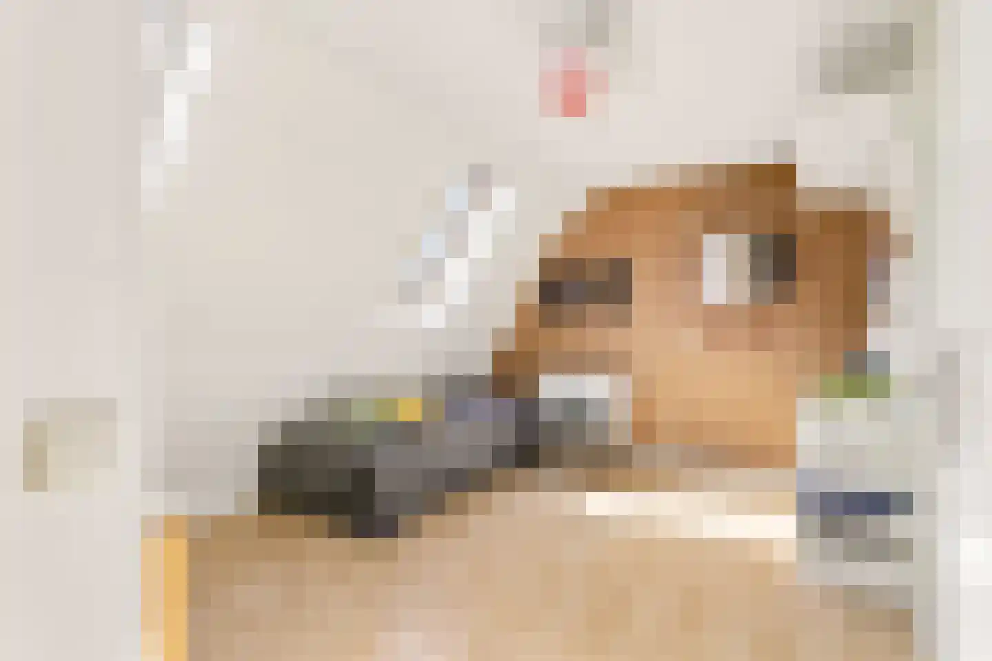 Langshout 45 Houten thumbnail 26