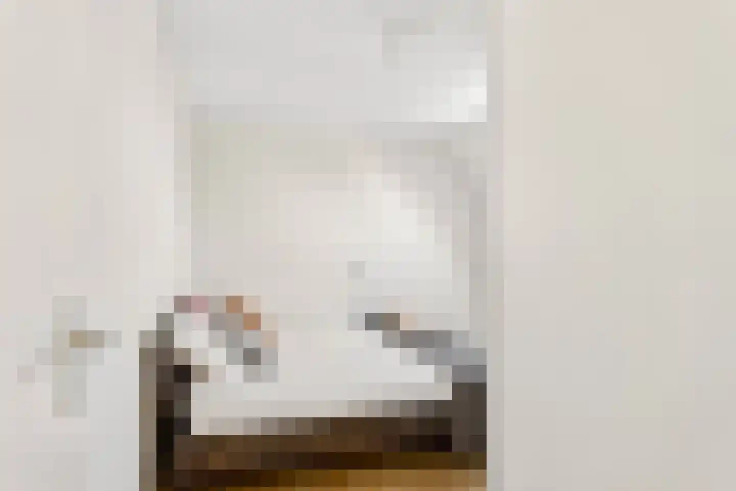 Langshout 45 Houten thumbnail 28