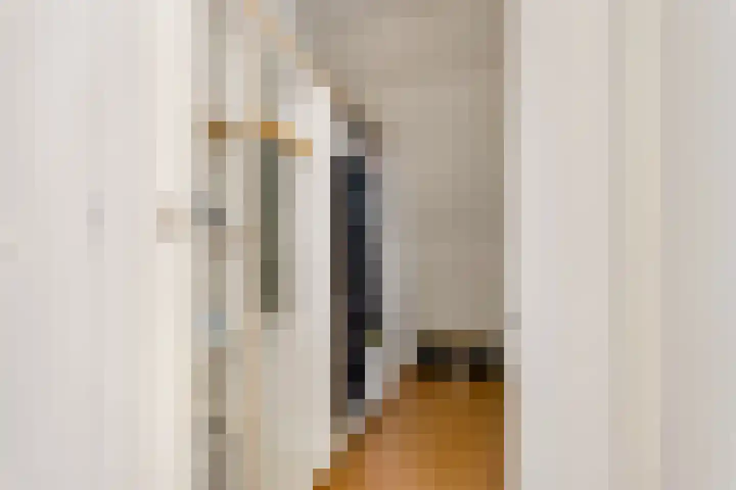 Langshout 45 Houten thumbnail 33