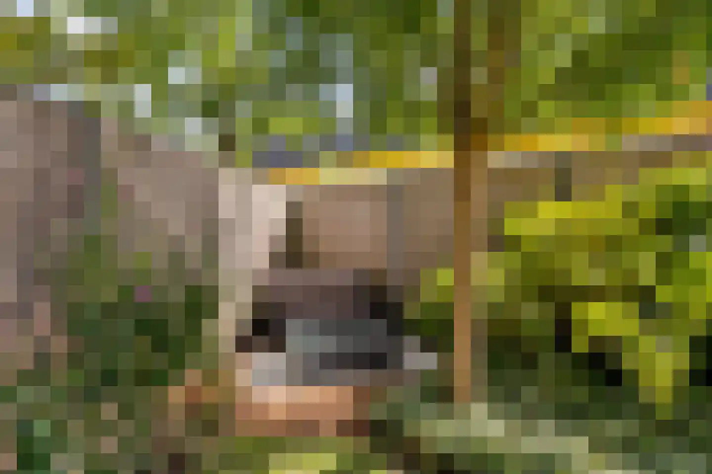 Langshout 45 Houten thumbnail 36
